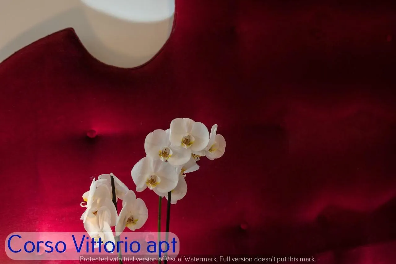 Corso Vittorio Apartments Rome